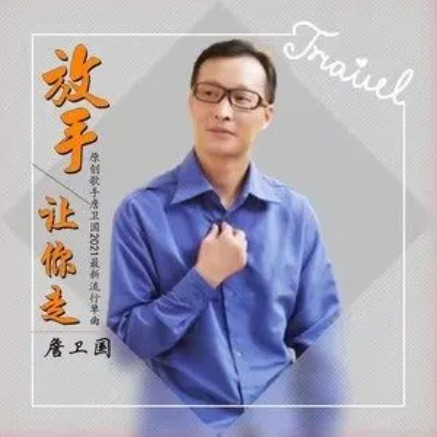 放手让你走(詹卫国演唱的华语歌曲)
