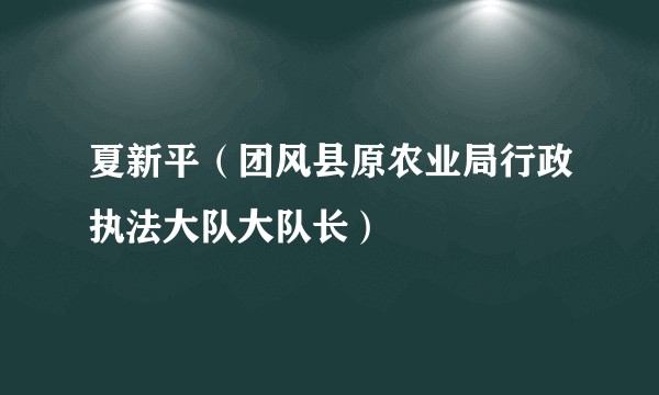 夏新平（团风县原农业局行政执法大队大队长）