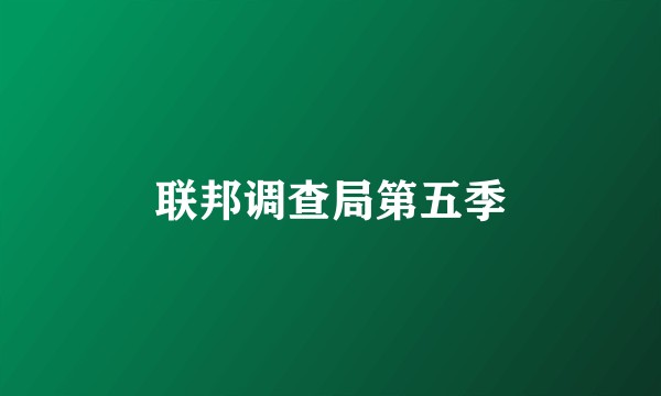 联邦调查局第五季