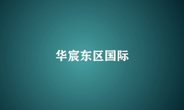 华宸东区国际