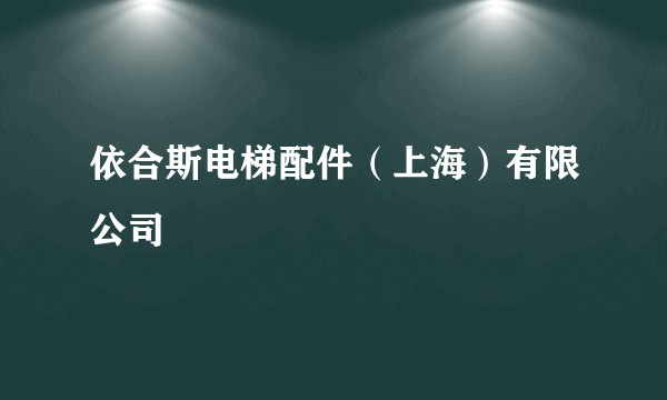 依合斯电梯配件(上海)有限公司