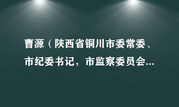 曹源(陕西省铜川市委常委、市纪委书记,市监察委员会代理主任)