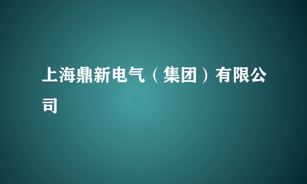 上海鼎新电气(集团)有限公司