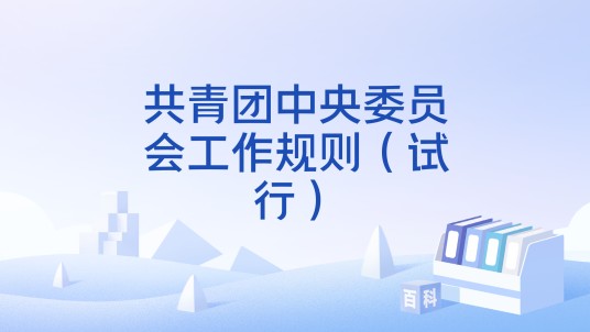 共青团中央委员会工作规则（试行）