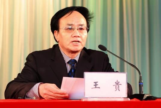王贵(曾任北京化工大学副校长)