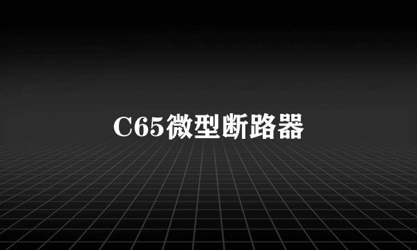 C65微型断路器