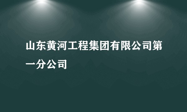山东黄河工程集团有限公司第一分公司