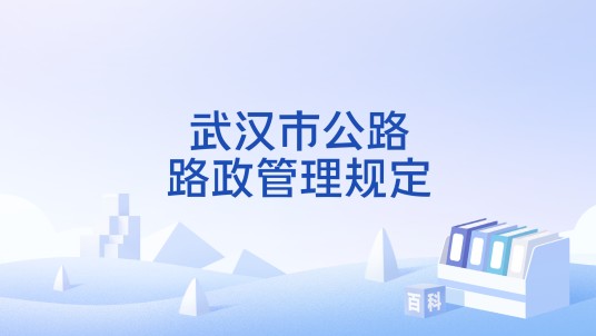 武汉市公路路政管理规定