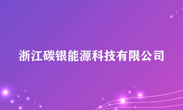 浙江碳银能源科技有限公司