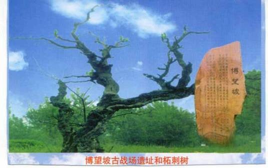 博望镇(河南省南阳市方城县下辖镇)