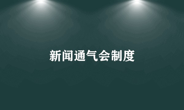 新闻通气会制度