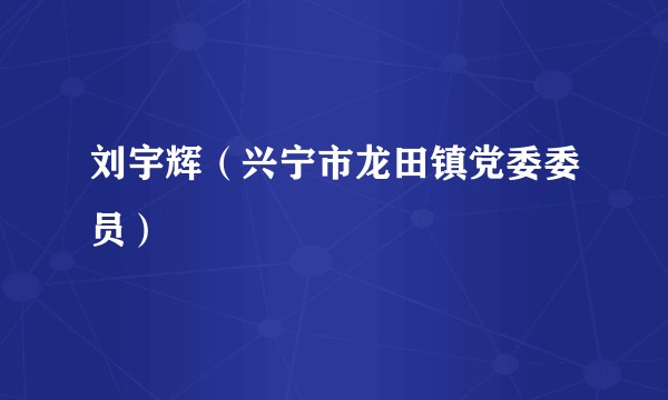 刘宇辉（兴宁市龙田镇党委委员）