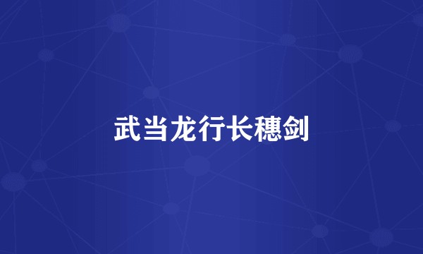 武当龙行长穗剑