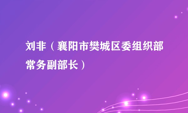 刘非（襄阳市樊城区委组织部常务副部长）