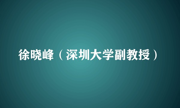 徐晓峰（深圳大学副教授）