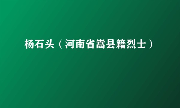 杨石头(河南省嵩县籍烈士)