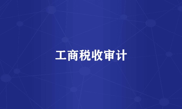 工商税收审计