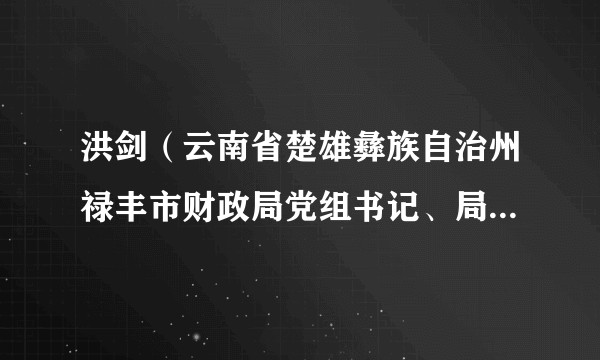 洪剑（云南省楚雄彝族自治州禄丰市财政局党组书记、局长，市国有资产监督管理委员会主任）