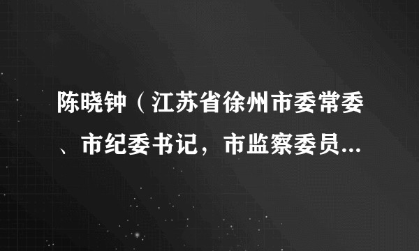 陈晓钟（江苏省徐州市委常委、市纪委书记，市监察委员会主任）