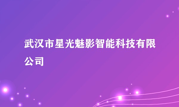 武汉市星光魅影智能科技有限公司