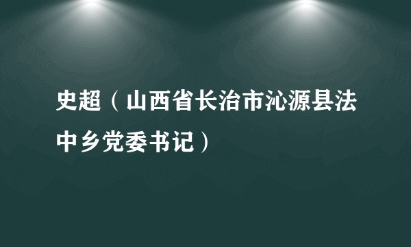 史超（山西省长治市沁源县法中乡党委书记）