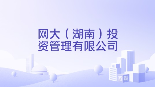 网大（湖南）投资管理有限公司