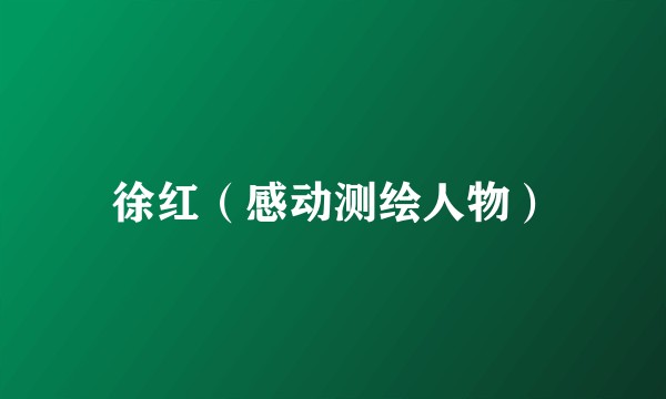 徐红（感动测绘人物）