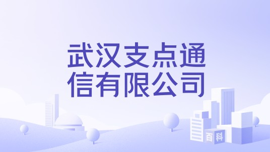 武汉支点通信有限公司