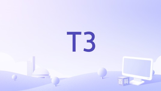 T3（餐饮软件）