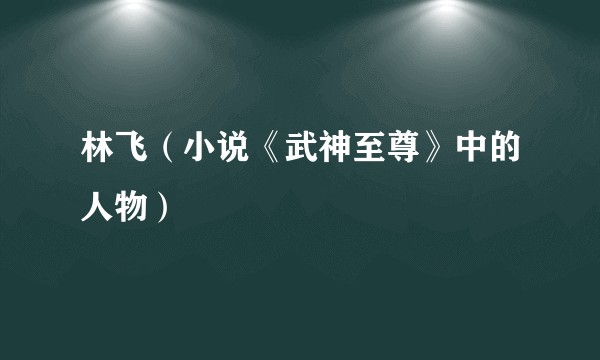 林飞（小说《武神至尊》中的人物）