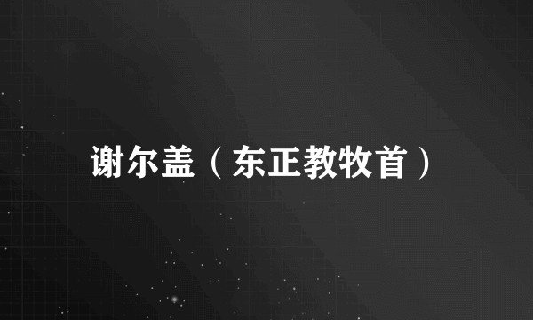 谢尔盖（东正教牧首）