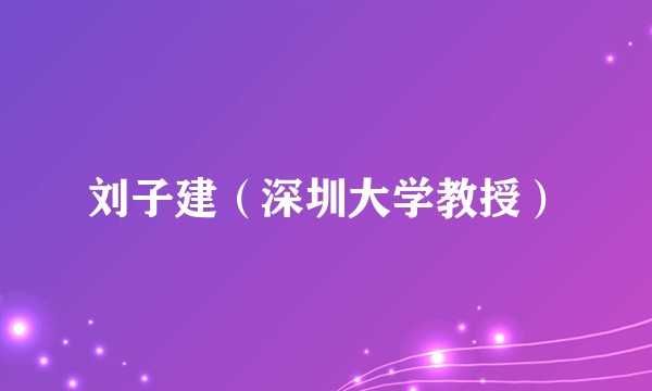 刘子建（深圳大学教授）