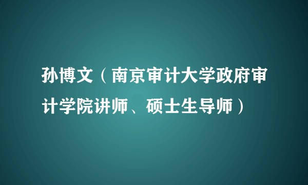 孙博文（南京审计大学政府审计学院讲师、硕士生导师）