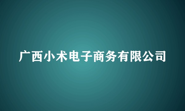 广西小术电子商务有限公司