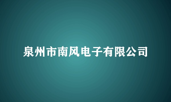 泉州市南风电子有限公司
