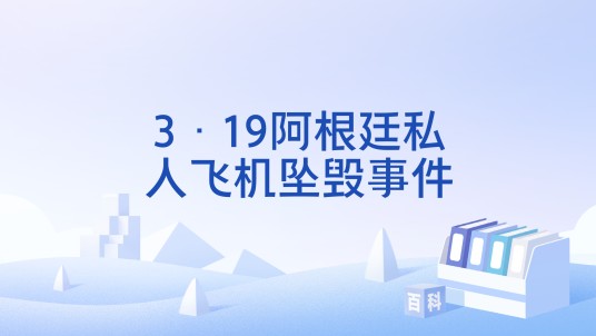 3·19阿根廷私人飞机坠毁事件