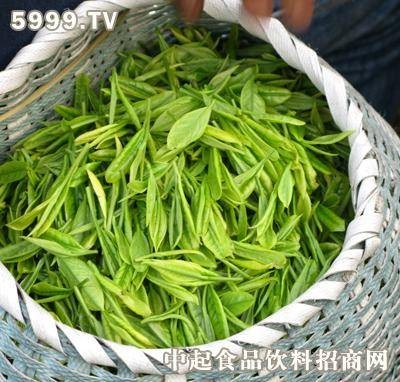 绿杨春
