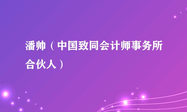 潘帅（中国致同会计师事务所合伙人）