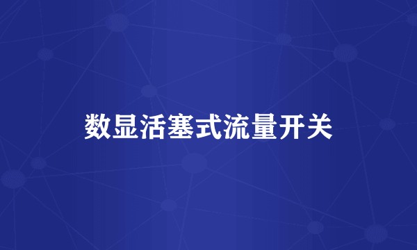 数显活塞式流量开关