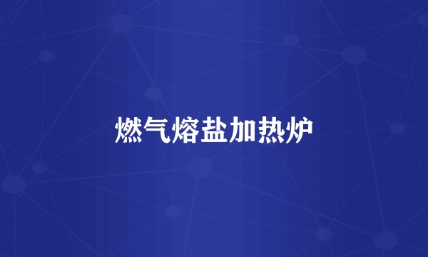 燃气熔盐加热炉