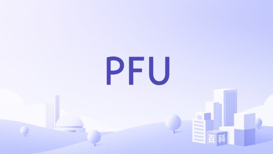 PFU（计算机技术开发企业）