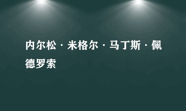 内尔松·米格尔·马丁斯·佩德罗索