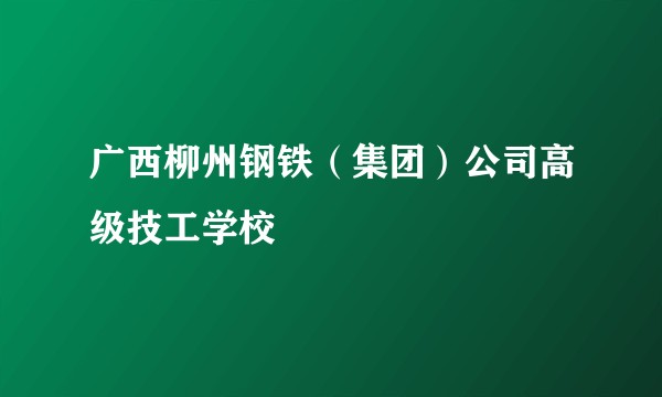 广西柳州钢铁（集团）公司高级技工学校