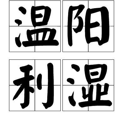 温阳利湿