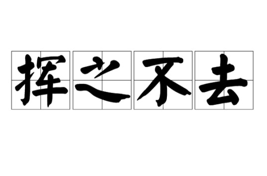 挥之不去（形容无法排解或难以忘怀的事物）