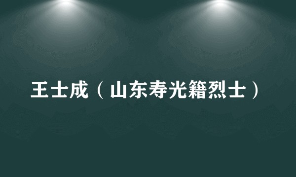 王士成（山东寿光籍烈士）