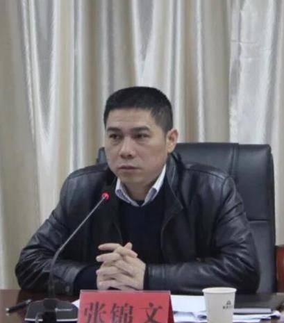 张锦文(中国福建金森集团有限公司原董事长)