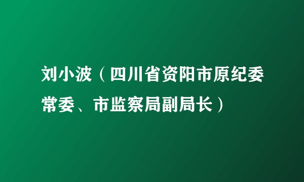 刘小波（四川省资阳市原纪委常委、市监察局副局长）