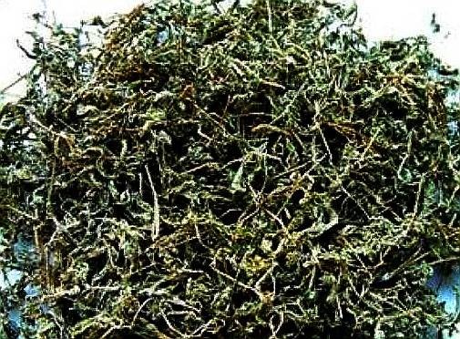 溪洲莓茶