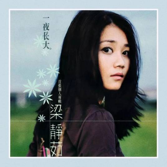 一夜长大（1999年梁静茹演唱的歌曲）